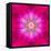 Purple Concentric Flower Center: Mandala Kaleidoscopic Design-tr3gi-Framed Stretched Canvas