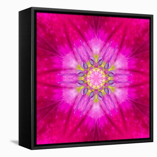 Purple Concentric Flower Center: Mandala Kaleidoscopic Design-tr3gi-Framed Stretched Canvas