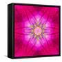 Purple Concentric Flower Center: Mandala Kaleidoscopic Design-tr3gi-Framed Stretched Canvas