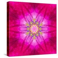 Purple Concentric Flower Center: Mandala Kaleidoscopic Design-tr3gi-Stretched Canvas