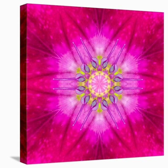 Purple Concentric Flower Center: Mandala Kaleidoscopic Design-tr3gi-Stretched Canvas