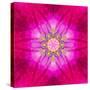 Purple Concentric Flower Center: Mandala Kaleidoscopic Design-tr3gi-Stretched Canvas