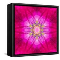 Purple Concentric Flower Center: Mandala Kaleidoscopic Design-tr3gi-Framed Stretched Canvas