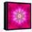Purple Concentric Flower Center: Mandala Kaleidoscopic Design-tr3gi-Framed Stretched Canvas