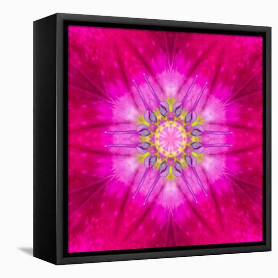 Purple Concentric Flower Center: Mandala Kaleidoscopic Design-tr3gi-Framed Stretched Canvas