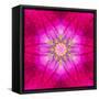 Purple Concentric Flower Center: Mandala Kaleidoscopic Design-tr3gi-Framed Stretched Canvas