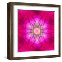 Purple Concentric Flower Center: Mandala Kaleidoscopic Design-tr3gi-Framed Art Print