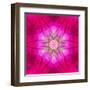 Purple Concentric Flower Center: Mandala Kaleidoscopic Design-tr3gi-Framed Art Print