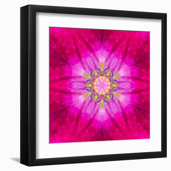 Purple Concentric Flower Center: Mandala Kaleidoscopic Design-tr3gi-Framed Art Print