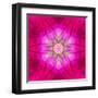 Purple Concentric Flower Center: Mandala Kaleidoscopic Design-tr3gi-Framed Art Print