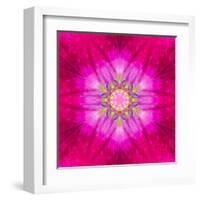 Purple Concentric Flower Center: Mandala Kaleidoscopic Design-tr3gi-Framed Art Print