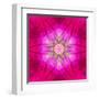 Purple Concentric Flower Center: Mandala Kaleidoscopic Design-tr3gi-Framed Art Print