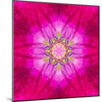 Purple Concentric Flower Center: Mandala Kaleidoscopic Design-tr3gi-Mounted Art Print