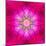 Purple Concentric Flower Center: Mandala Kaleidoscopic Design-tr3gi-Mounted Art Print