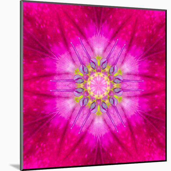 Purple Concentric Flower Center: Mandala Kaleidoscopic Design-tr3gi-Mounted Art Print