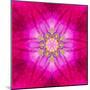 Purple Concentric Flower Center: Mandala Kaleidoscopic Design-tr3gi-Mounted Art Print