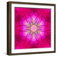 Purple Concentric Flower Center: Mandala Kaleidoscopic Design-tr3gi-Framed Art Print