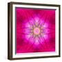 Purple Concentric Flower Center: Mandala Kaleidoscopic Design-tr3gi-Framed Art Print