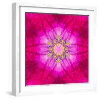 Purple Concentric Flower Center: Mandala Kaleidoscopic Design-tr3gi-Framed Art Print