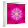 Purple Concentric Flower Center: Mandala Kaleidoscopic Design-tr3gi-Framed Art Print