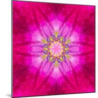 Purple Concentric Flower Center: Mandala Kaleidoscopic Design-tr3gi-Mounted Art Print