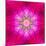 Purple Concentric Flower Center: Mandala Kaleidoscopic Design-tr3gi-Mounted Art Print