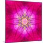 Purple Concentric Flower Center: Mandala Kaleidoscopic Design-tr3gi-Mounted Art Print