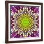 Purple Concentric Flower Center: Mandala Kaleidoscopic-tr3gi-Framed Art Print