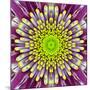 Purple Concentric Flower Center: Mandala Kaleidoscopic-tr3gi-Mounted Art Print