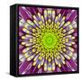 Purple Concentric Flower Center: Mandala Kaleidoscopic-tr3gi-Framed Stretched Canvas