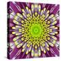 Purple Concentric Flower Center: Mandala Kaleidoscopic-tr3gi-Stretched Canvas