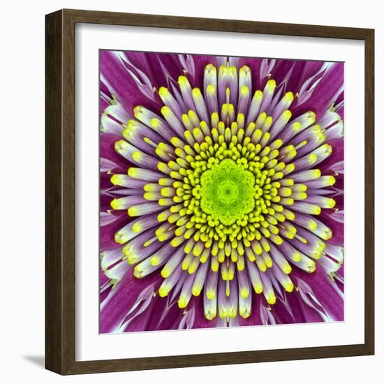 Purple Concentric Flower Center: Mandala Kaleidoscopic-tr3gi-Framed Art Print