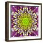 Purple Concentric Flower Center: Mandala Kaleidoscopic-tr3gi-Framed Art Print