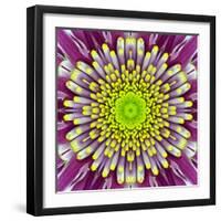 Purple Concentric Flower Center: Mandala Kaleidoscopic-tr3gi-Framed Art Print