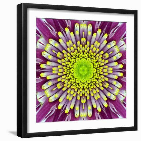 Purple Concentric Flower Center: Mandala Kaleidoscopic-tr3gi-Framed Art Print