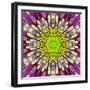 Purple Concentric Flower Center: Mandala Kaleidoscopic-tr3gi-Framed Art Print