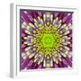 Purple Concentric Flower Center: Mandala Kaleidoscopic-tr3gi-Framed Art Print