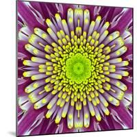 Purple Concentric Flower Center: Mandala Kaleidoscopic-tr3gi-Mounted Art Print