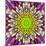 Purple Concentric Flower Center: Mandala Kaleidoscopic-tr3gi-Mounted Art Print