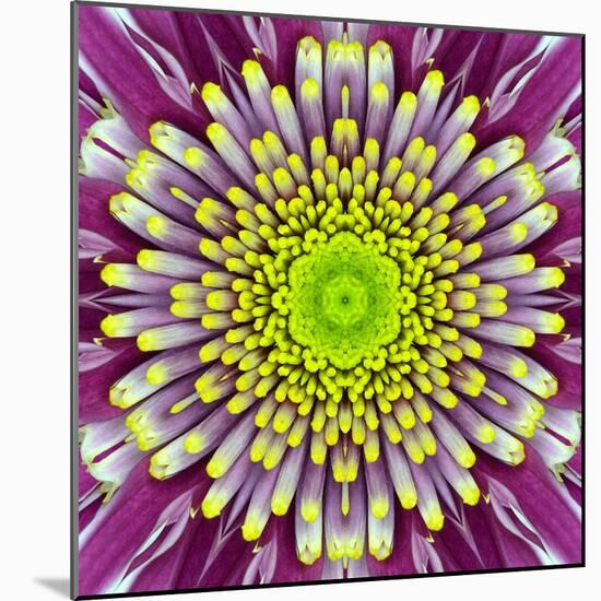 Purple Concentric Flower Center: Mandala Kaleidoscopic-tr3gi-Mounted Art Print