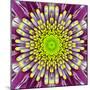 Purple Concentric Flower Center: Mandala Kaleidoscopic-tr3gi-Mounted Art Print