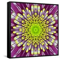 Purple Concentric Flower Center: Mandala Kaleidoscopic-tr3gi-Framed Stretched Canvas