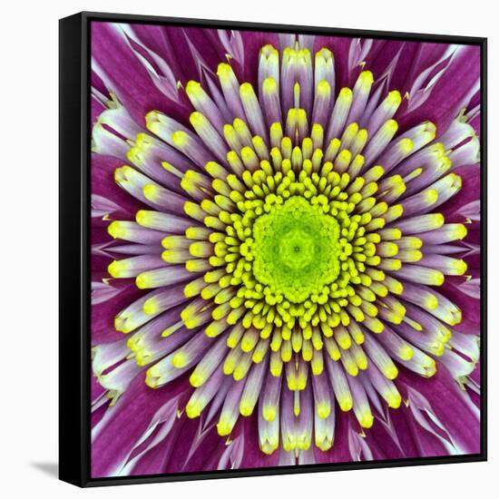 Purple Concentric Flower Center: Mandala Kaleidoscopic-tr3gi-Framed Stretched Canvas