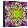 Purple Concentric Flower Center: Mandala Kaleidoscopic-tr3gi-Framed Stretched Canvas
