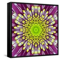 Purple Concentric Flower Center: Mandala Kaleidoscopic-tr3gi-Framed Stretched Canvas