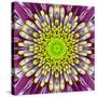 Purple Concentric Flower Center: Mandala Kaleidoscopic-tr3gi-Stretched Canvas