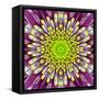 Purple Concentric Flower Center: Mandala Kaleidoscopic-tr3gi-Framed Stretched Canvas