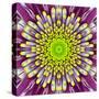 Purple Concentric Flower Center: Mandala Kaleidoscopic-tr3gi-Stretched Canvas