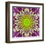 Purple Concentric Flower Center: Mandala Kaleidoscopic-tr3gi-Framed Art Print