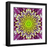 Purple Concentric Flower Center: Mandala Kaleidoscopic-tr3gi-Framed Art Print